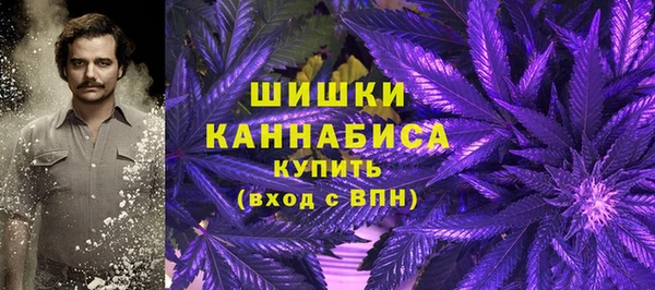 спайс Надым
