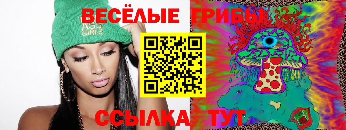 Псилоцибиновые грибы мицелий  Копейск 